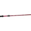 ALPS Mountaineering Conquest Trekking Pole