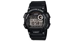 Casio Outdoor Mens Vibration Alarm