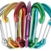 Edelrid Nineteen G Carabiner - 6 Pack
