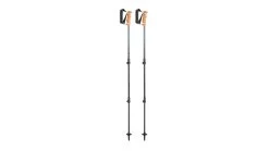 Leki Lhasa Trekking Poles
