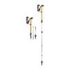 Leki Cressida FX Carbon AS Trekking Poles