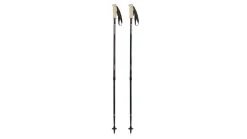 Mountainsmith Andesite Carbon Trekking Pole