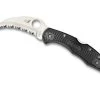 Spyderco Tasman Salt 2 Folding Knife